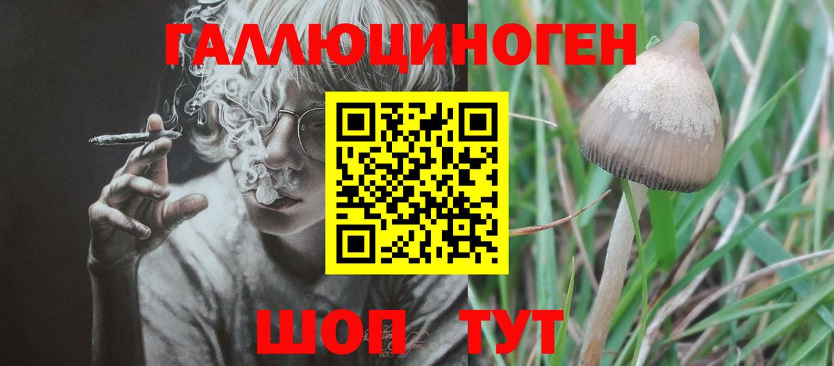 Галлюциногенные грибы прущие грибы  Вход с VPN  Черкесск 