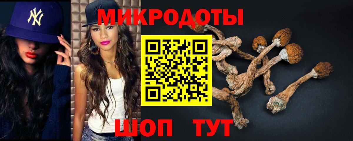 Псилоцибиновые грибы мухоморы Черкесск